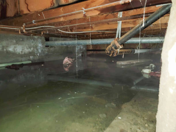 Best Water damage restoration insurance claims  in Houghton Lake, MI