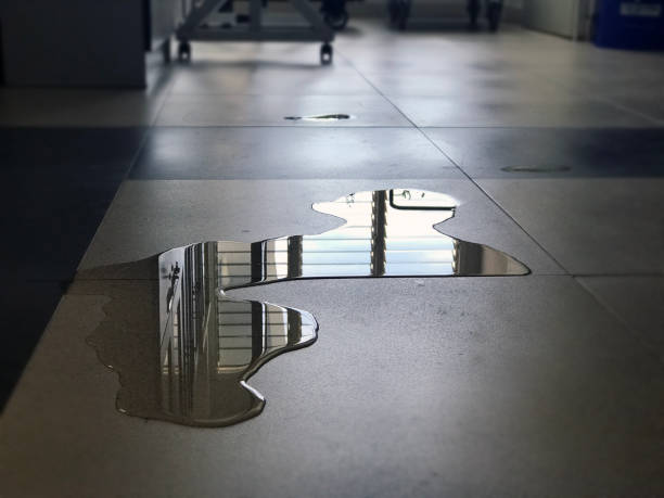 Best Local water damage restoration  in Houghton Lake, MI