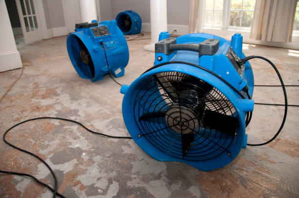 Reliable MI Water damage restoration Solutions